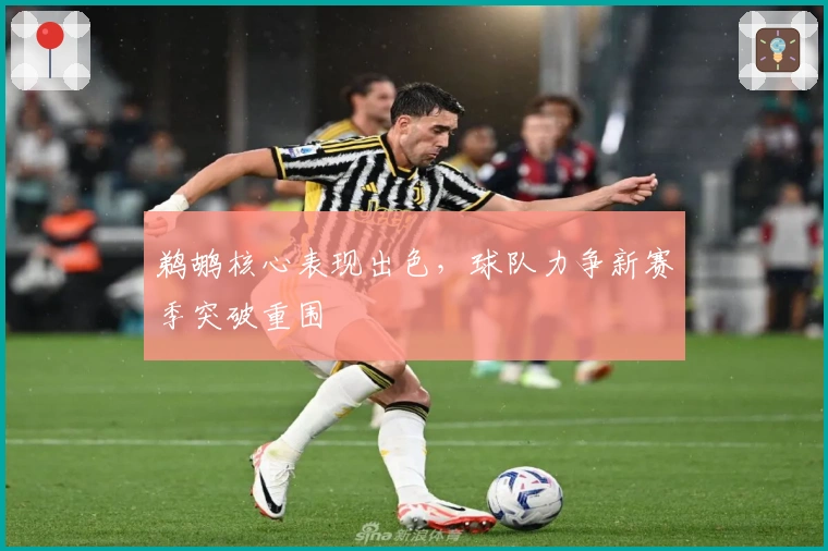 鹈鹕核心表现出色,球队力争新赛季突破重围