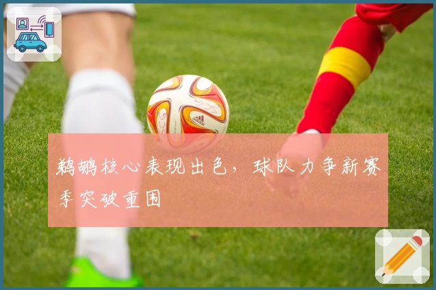 鹈鹕核心表现出色，球队力争新赛季突破重围